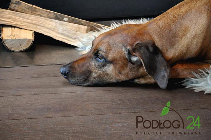 BOEN dąb Sand deska warstwowa